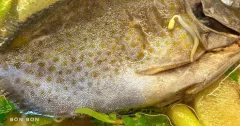 Canh Chua Cá Dìa Thanh Mát, Đậm Đà Dễ Nấu