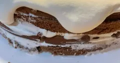 Chocolate Layer Cake with Whipped Cream Frosting