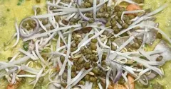 Bánh xèo tôm thịt giòn rụm ăn kèm rau sống