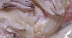 Miso Mayo Foil-Baked Salmon