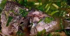 Canh chua cá sủ nấu chả cá thanh ngọt đậm vị