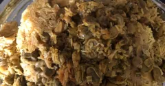 Chicken and Green Bean Makloubeh