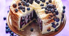 Blueberry and Chocolate Ribbon Torte