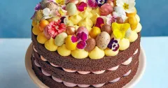 Triple-Layer Chocolate & Vanilla Celebration Cake