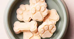 Easy 3-Ingredient Dog Ice Cream (Pup Pops)
