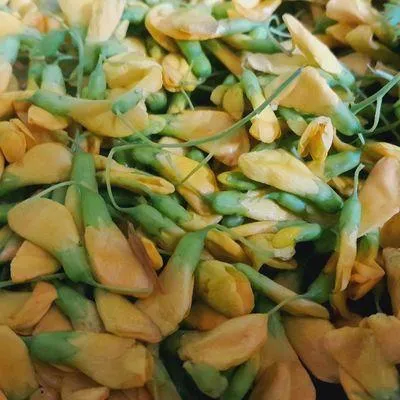 Bước 1