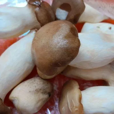 Bước 1