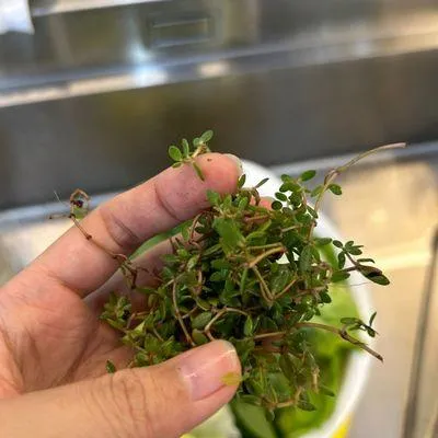 Bước 1