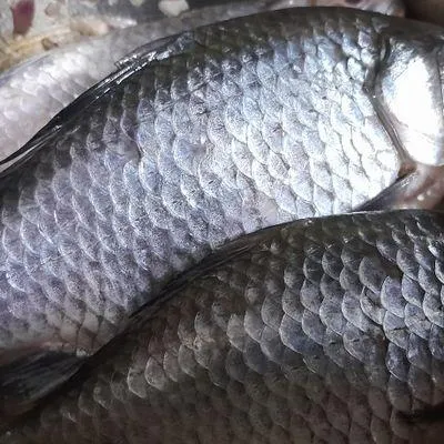 Bước 2