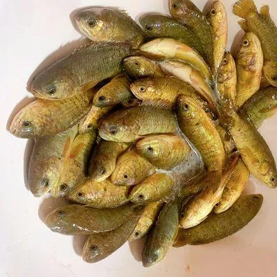 Bước 1