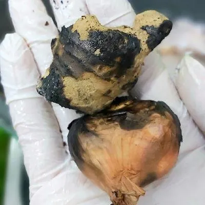 Bước 1
