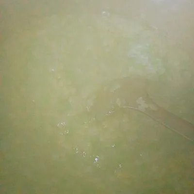 Bước 3