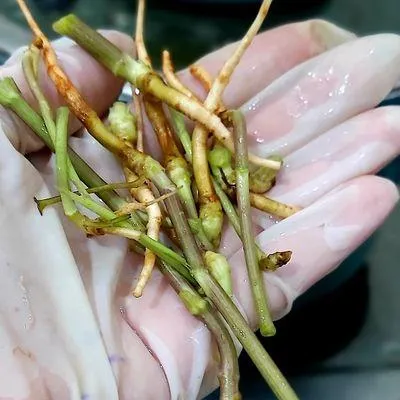 Bước 1