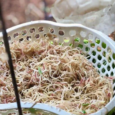 Bước 4