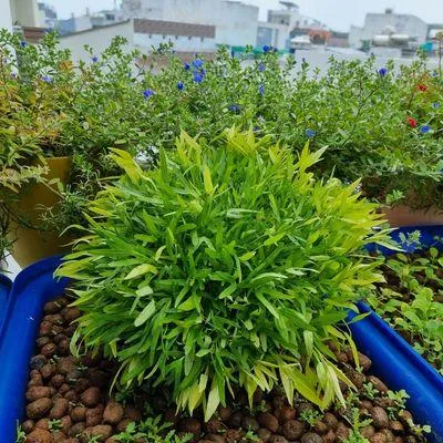 Bước 1
