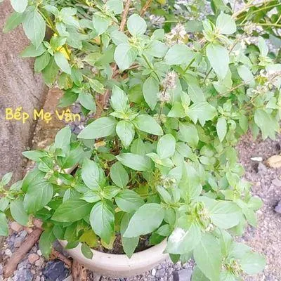 Bước 1