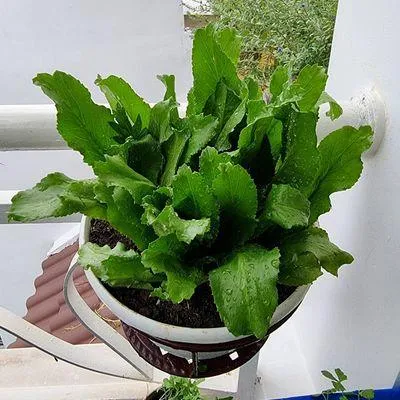 Bước 1