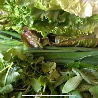Bước 5