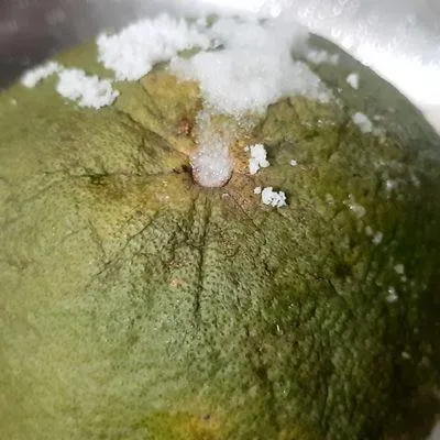 Bước 1
