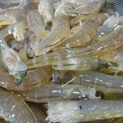 Bước 1